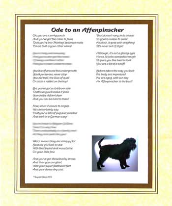 Ode to an Affenpinscher