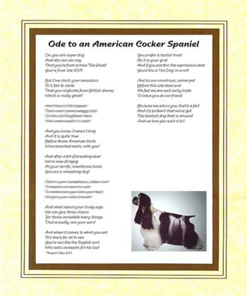 Ode to an American Cocker Spaniel