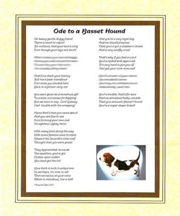 Ode to a Basset Hound