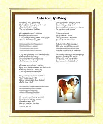 Ode to a Bulldog