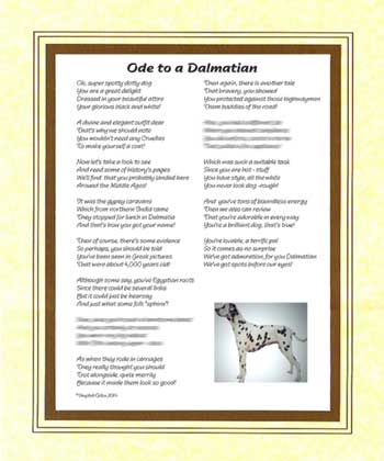 Ode to a Dalmatian