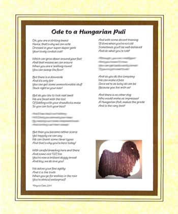 Ode to a Hungarian Puli