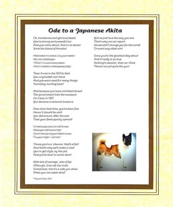 Ode to a Japanese Akita