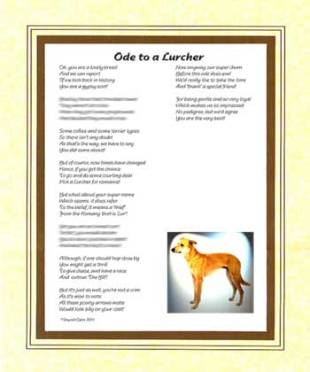 Ode to a Lurcher