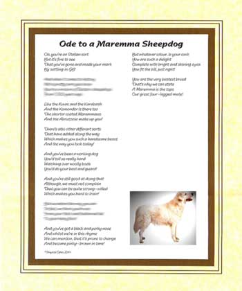 Ode to a Marenna Sheepdog