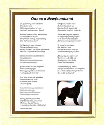 Ode to a Newfoundland