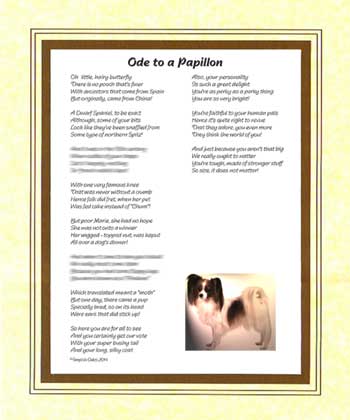 Ode to a Papillon