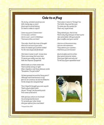 Ode to a Pug