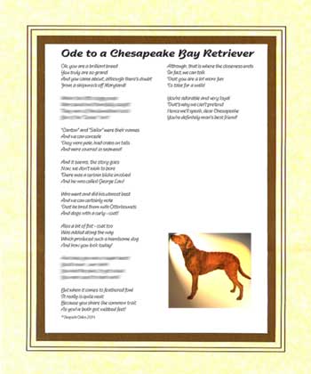 Ode to a Chesapeake Bay Retriever