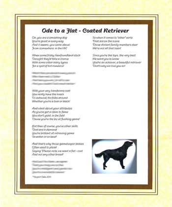 Ode to a Flat Coated Retriever