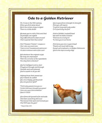 Ode to a Golden Retriever