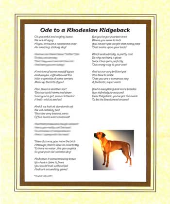 Ode to a Rhodesian Ridgeback