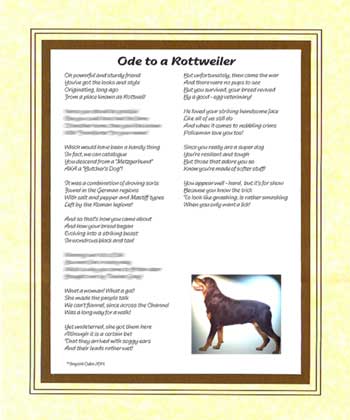 Ode to a Rottweiler