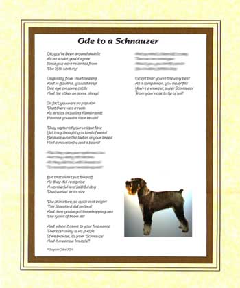 Ode to a Schnauzer