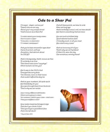 Ode to a Shar Pei