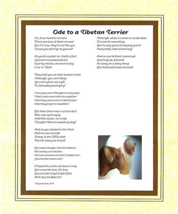 Ode to a Tibetan Terrier