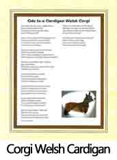 Click Here to View Cardigan Corgi Ode