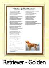 Click Here to View Golden Retriever Ode