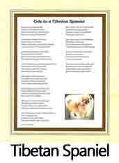 Click Here to View Tibetan Spaniel Ode