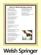 Click Here to View Welsh Springer Spaniel Ode