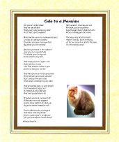 Ode to a Persian Cat