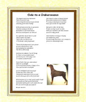 Doberman - Click here for more details