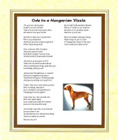 Hungarian Vizsla - Click here for more details