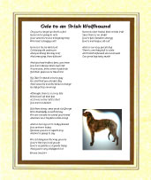 Wolfhound (Irish) - Click here for more details