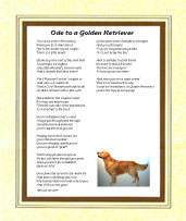 Retriever - Golden - Click here for more details